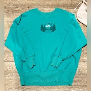 American Eagle Outfitters Teal Crew Neck Sweater